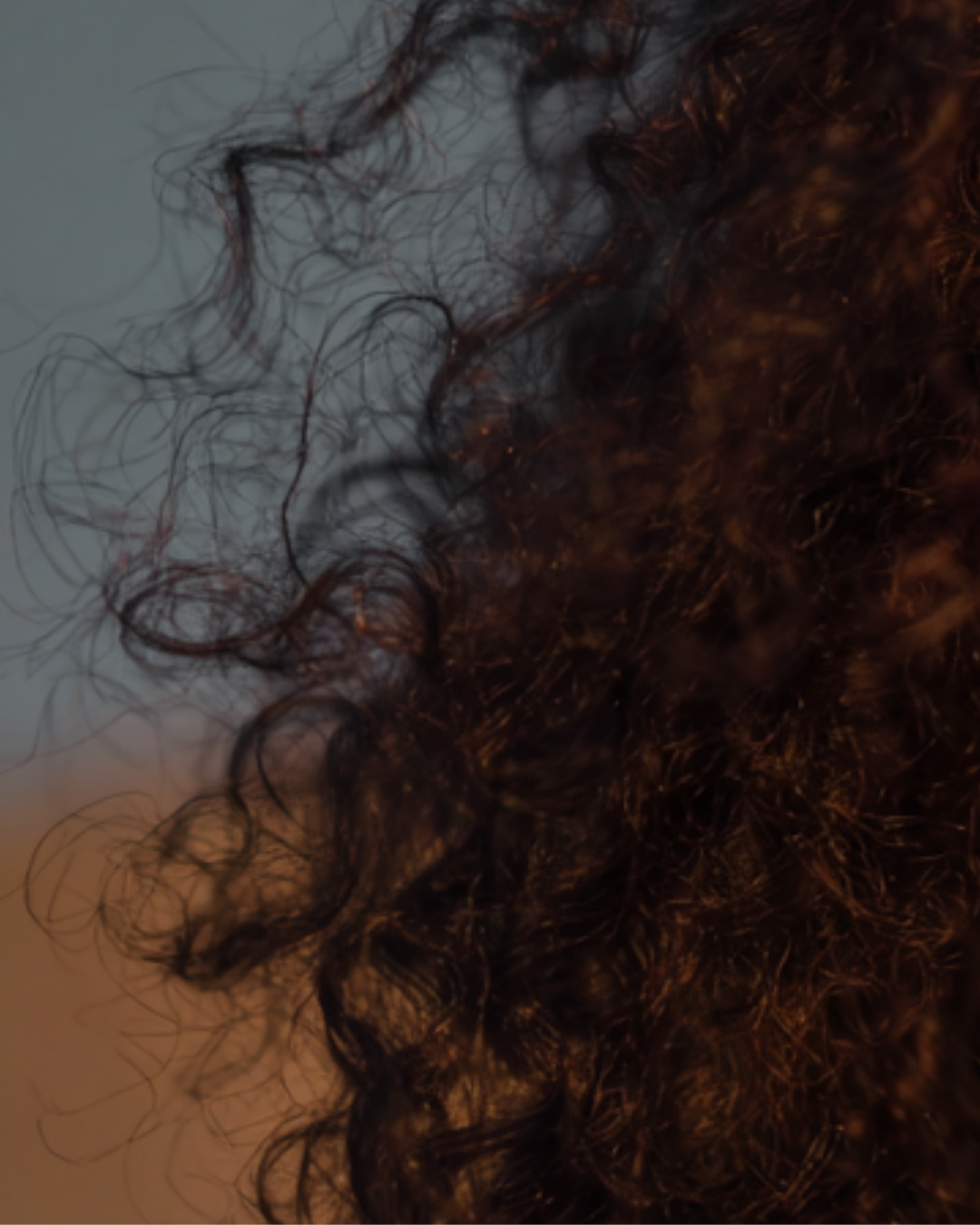 brown curls on girl